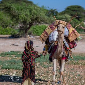 Somali Heritage Book