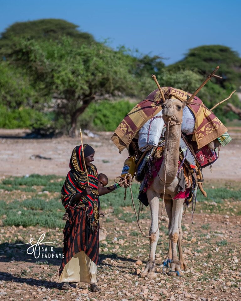 What the Camera Doesn’t See: On Shooting Nomadic Life
